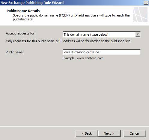 Figure 11: Specify the public name to access OWA