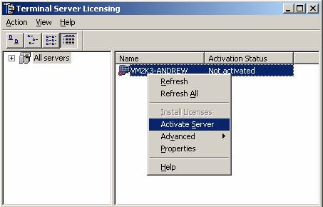 Windows 2003 Terminal Services 1)