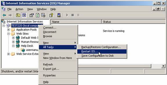 Standard-IIS-Version in Windows Internet Hosting Server 2003