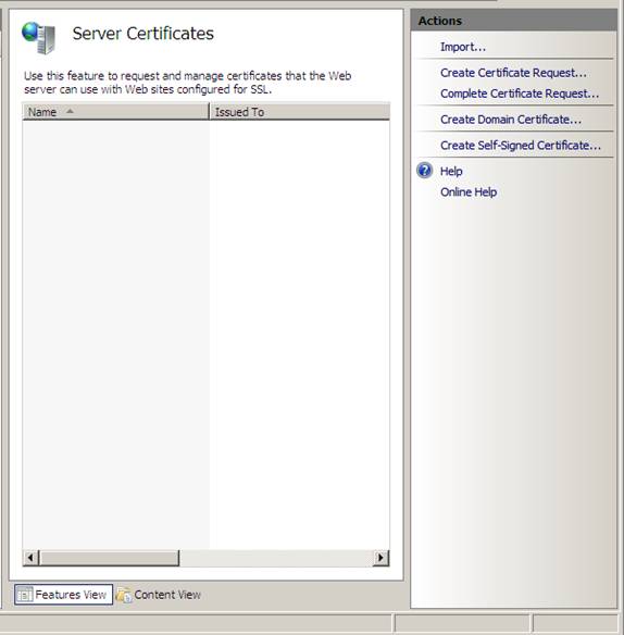 Запрос сертификата IIS. Server cert