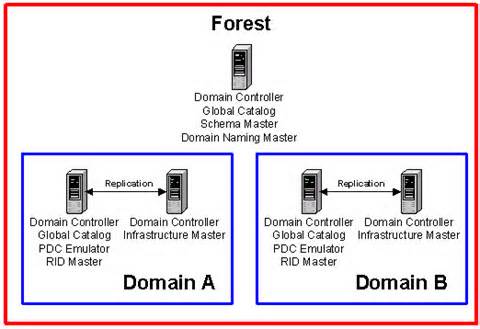 Forest and domain level FSMO roles