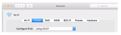 Mac IP address