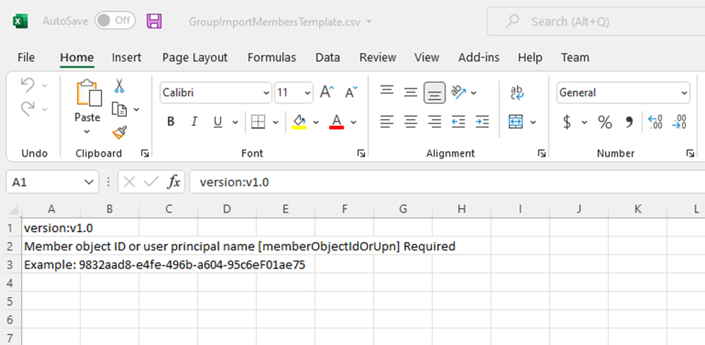 Screenshot of the CSV file in Excel. The first row is the version row, the second is the required information field, and the third is the example row.