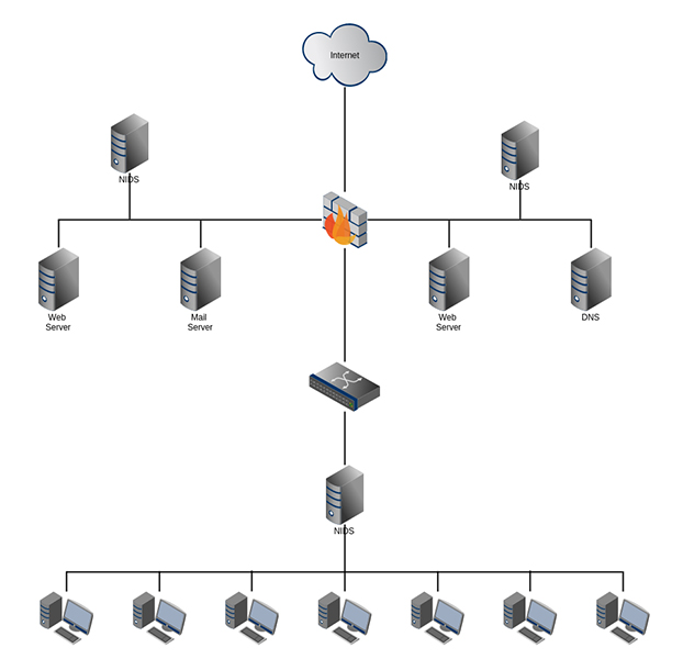 This image shows a network and how NIPS can be placed at the entry point of the network or monitor internal traffic.