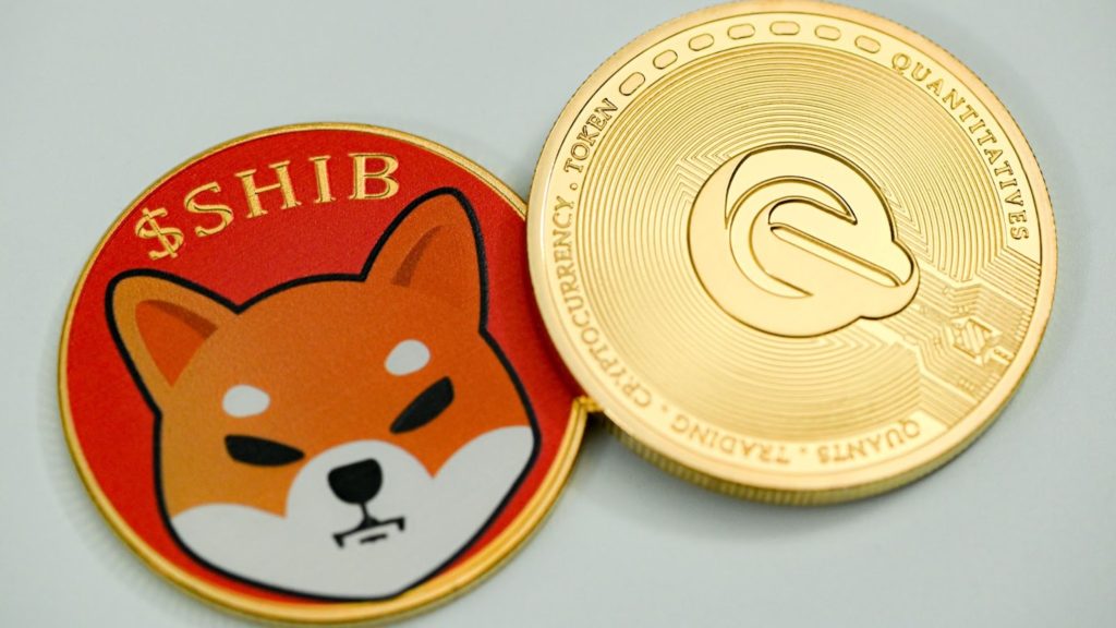 Image of a SHIB coin and QEST coin placed on a white background
