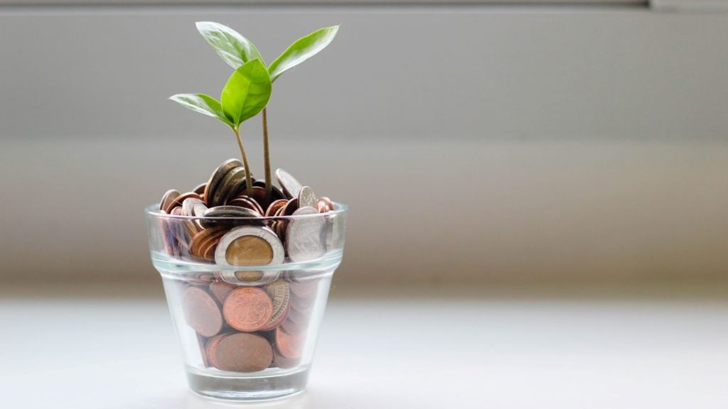 Image of a green plant growing from a cup filled with coins.