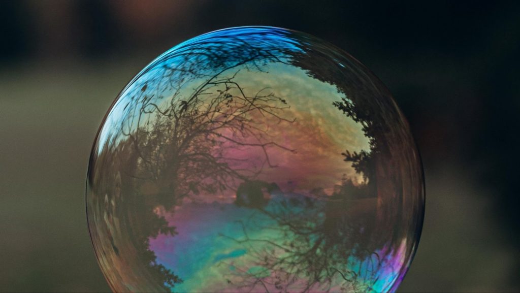 A large soap bubble reflecting nature.