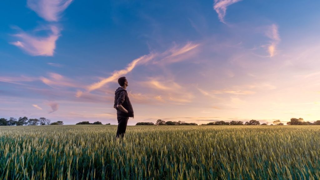  Person standing in the field of wheat under an azure sky.