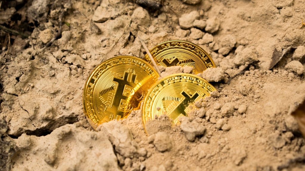 Three physical coins representing Bitcoin stuffed into soil.