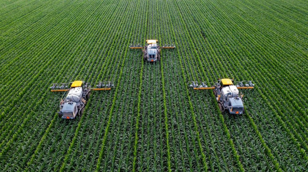 Combine tractors detasseling corn in central Illinois.