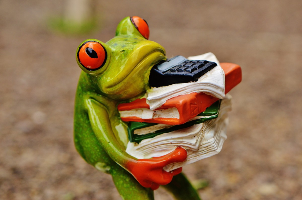 Image of a frog holding a stack of files