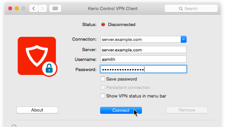 Screenshot of a VPN client connection page provided by KerioControl VPN.